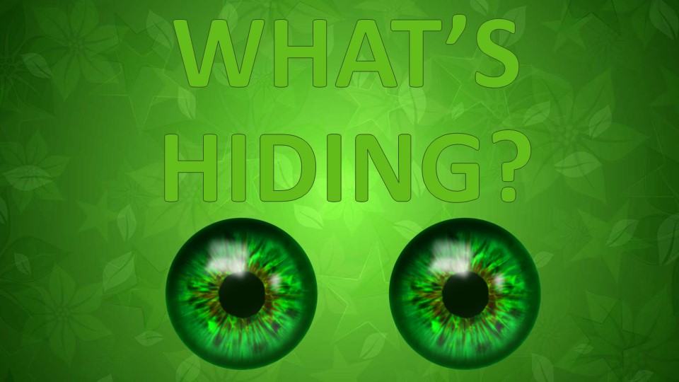 Презентация "What is hiding?"