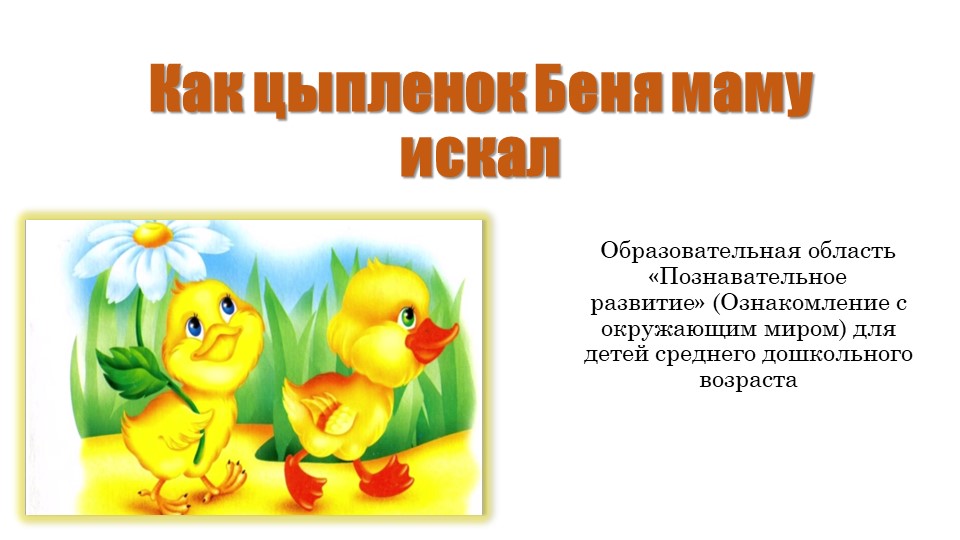 Как цыплёнок Беня маму искал