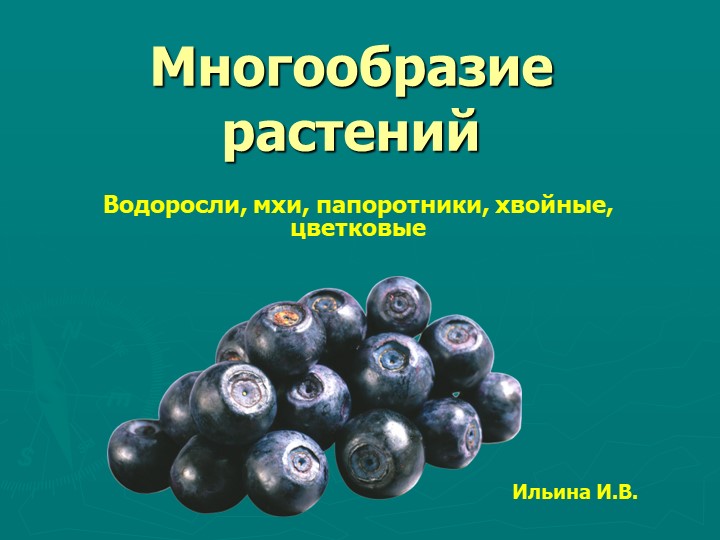 Презентация по окружающему миру " Многообразие животных " 3 класс