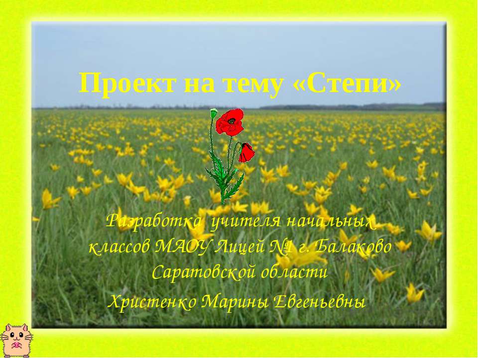 Степи 4 класс