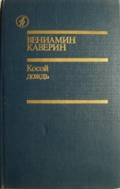 Презентация на тему "Всемирная программа действий в отношении инвалидов"