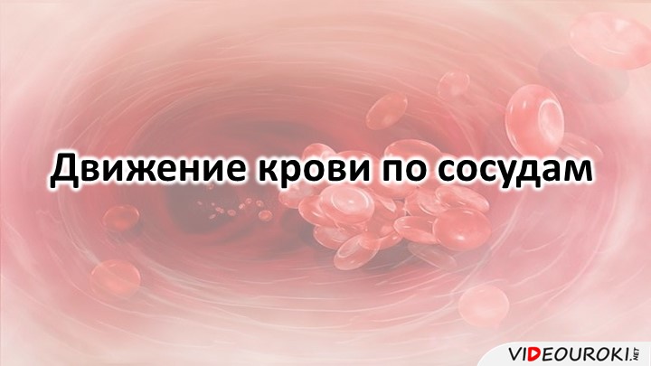 Презентация "Движение крови по сосудам"