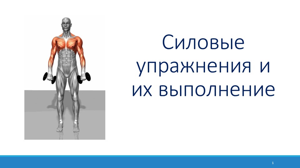 Презентация на тему: "Силовые упражнения и их выполнение"