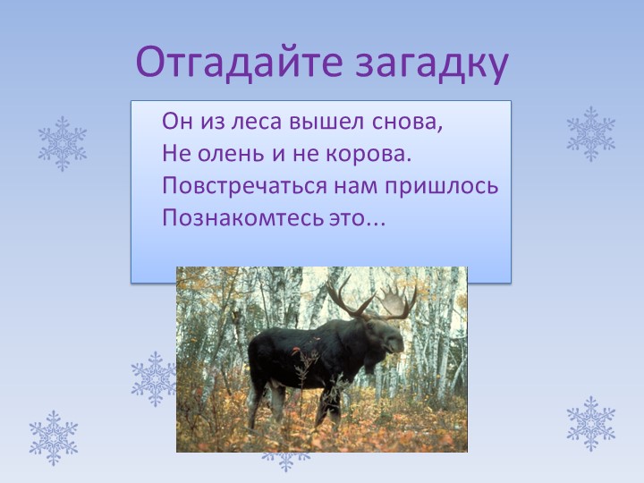 Презентация к сочинению по картине "Лоси"