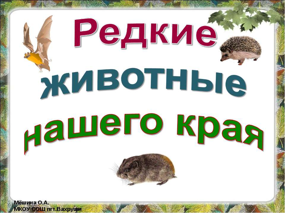 Редкие животные нашего края