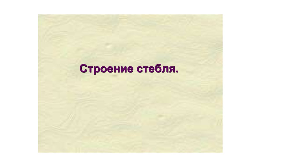 Презентация по теме "Строение стебля"