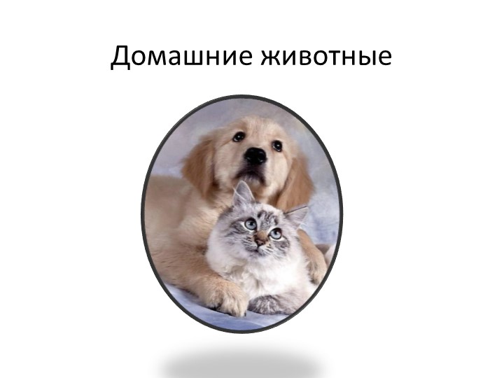 Урок мир природы и человека. Тема "Домашние животные"