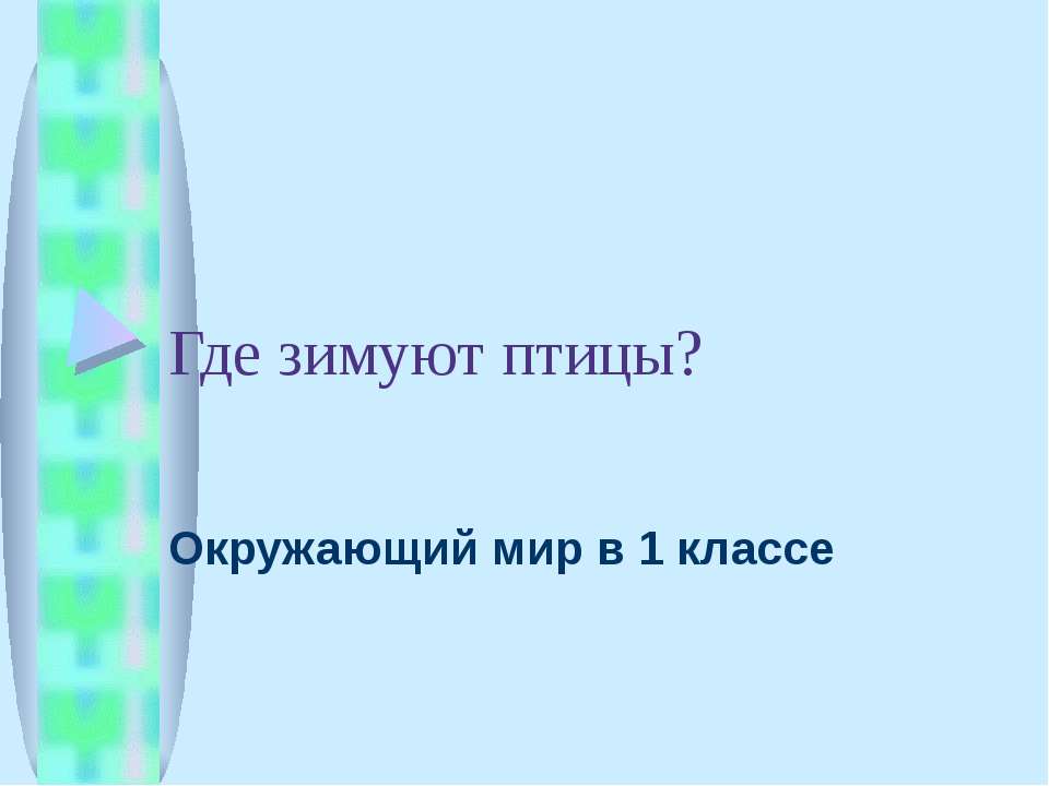 Где зимуют птицы?