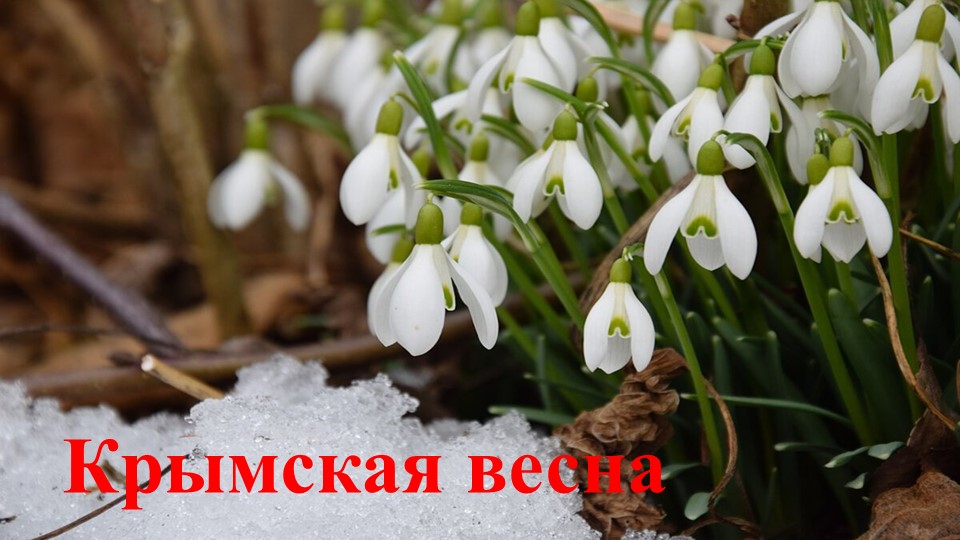 Презентация на тему "Крымская весна" для старшей группы ДОУ