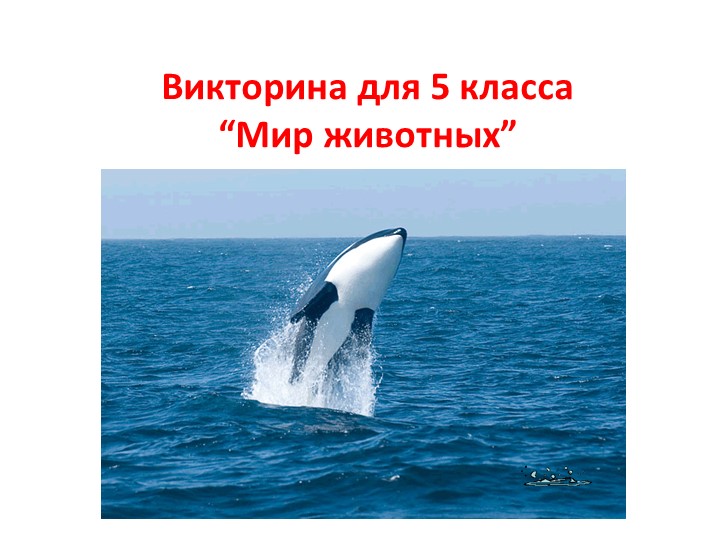 Викторина для 5 класса “Мир животных”