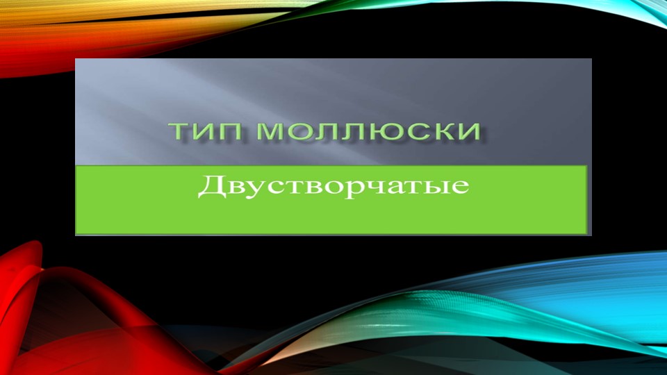 Презентация по окружающему миру " Двустворчатые моллюски" ( 4 класс)