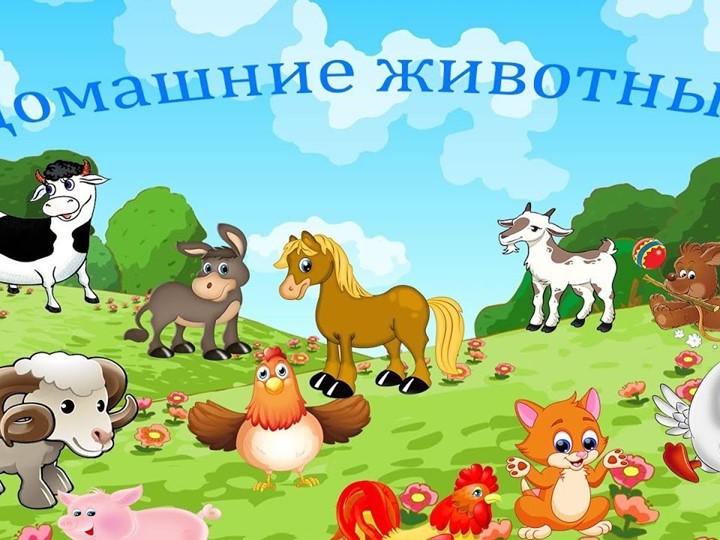 " В гостях у домашних животных"