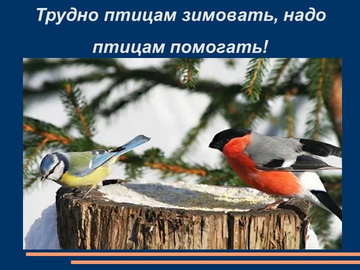 Презентация "Трудно птицам зимовать, надо птицам помогать" к внеклассному мероприятию
