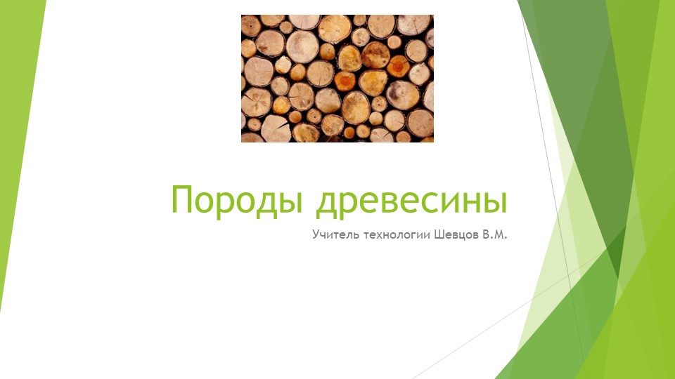 Презентация на тему "Породы древесины" (5 класс)