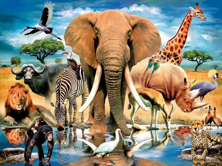 Открытый урок 3 класс Animals презентация