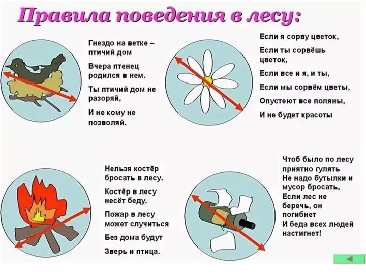 Презентация к занятию :"Юные друзья природы"