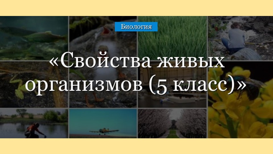 Презентация к уроку по биологии в 5 классе на тему "Свойства живых организмов"
