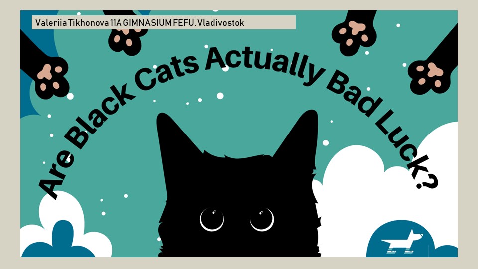 Презентация к уроку английского языка в 10 классе "Are Black Cats Actually Bad Luck?"