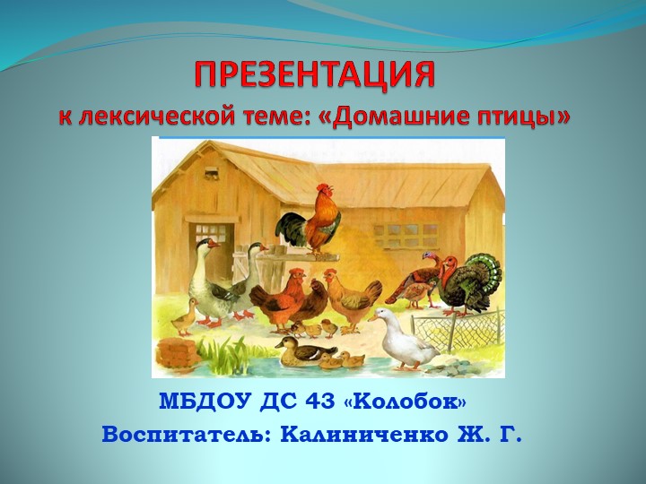 Презентация к лексической теме "Домашние птицы" в средней логопедической группе "Ромашка"