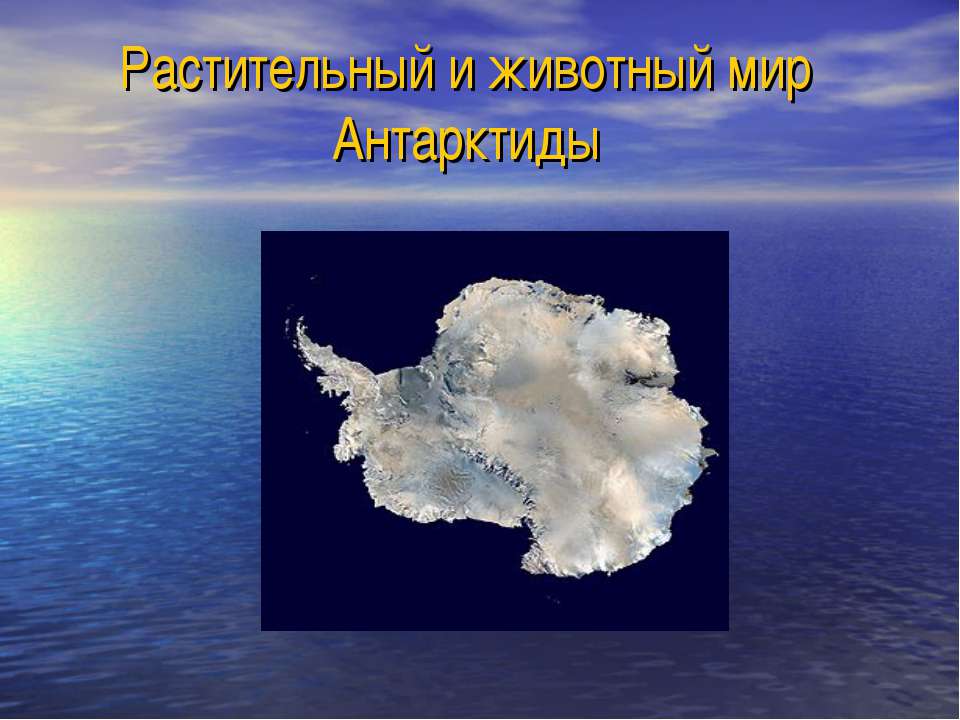 Растительный и животный мир Антарктиды