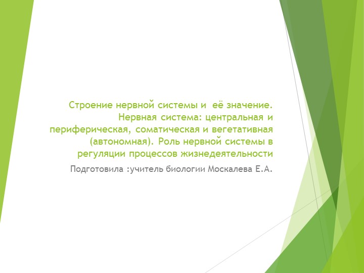Презентация на тему "Нервная система"
