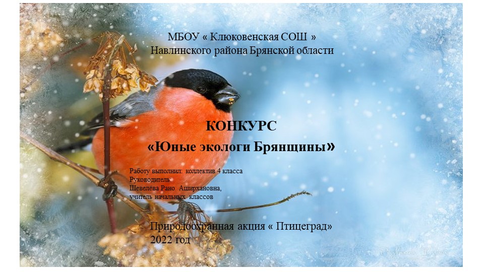 Презентация "Покормите птиц зимой"