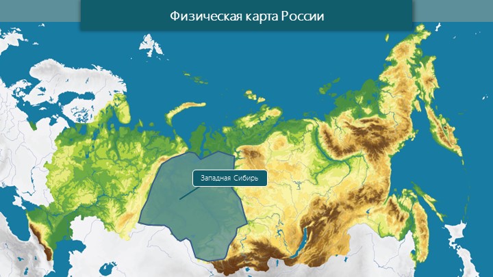 Презентация к уроку "Степи и лесостепи"