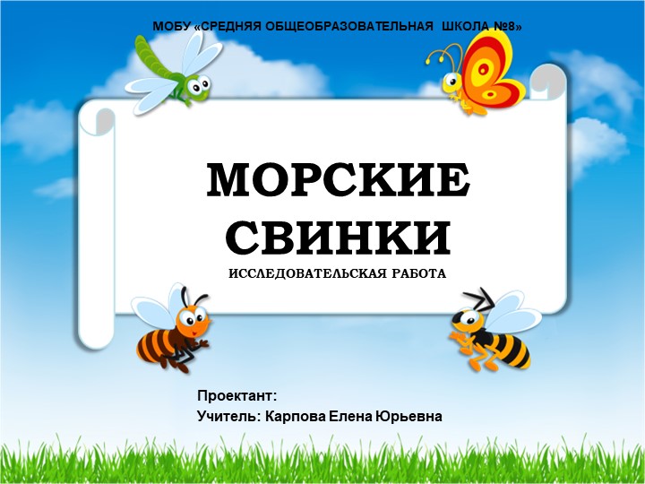 Презентация к проекту для 1 класса "Морские свинки"