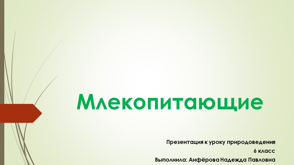 Презентация по природоведению на тему « Млекопитающие» ( 6 класс)