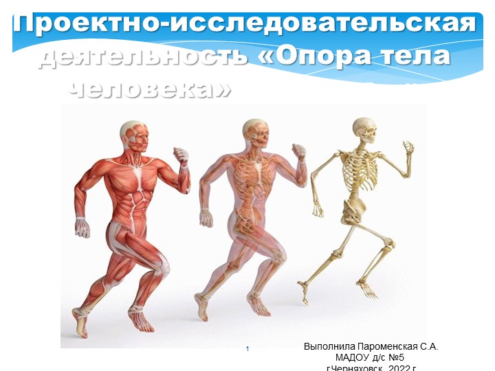 Проектно-исследовательская деятельность"Опора тела и движение человека"