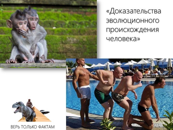 Презентация по биологии "Доказательства эволюционного происхождения человека"