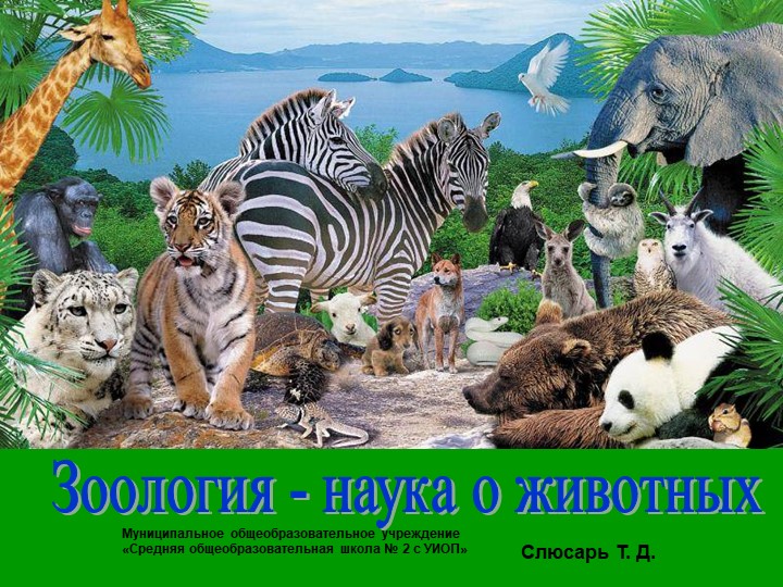 Презентация Зоология - наука о животных"