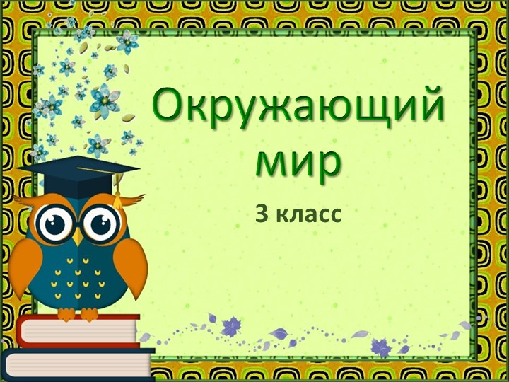 Презентация по окружающему миру, 3 класс, Перспектива. "Муж и жена- одна душа"