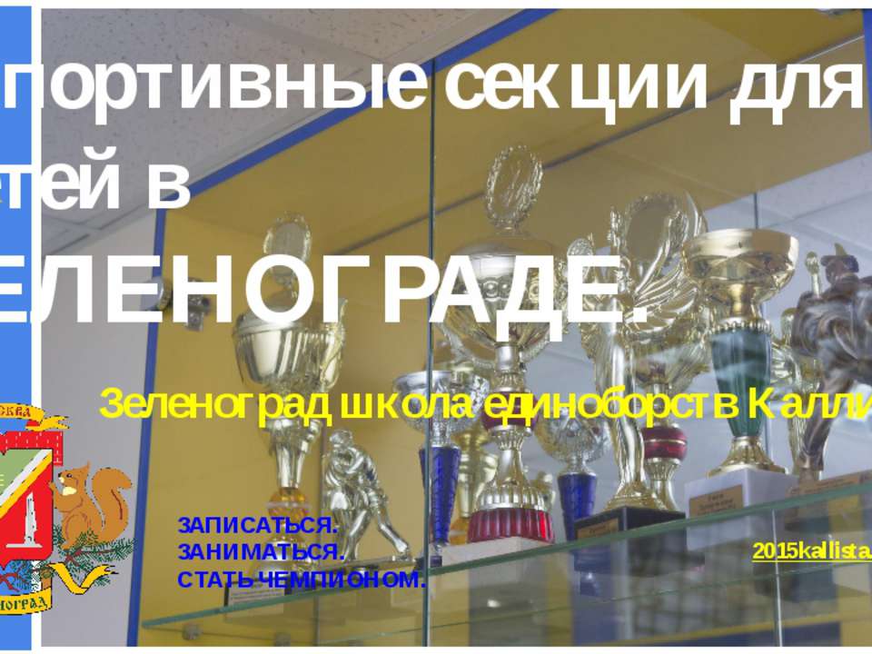 Спортивные секции для детей в Зеленограде