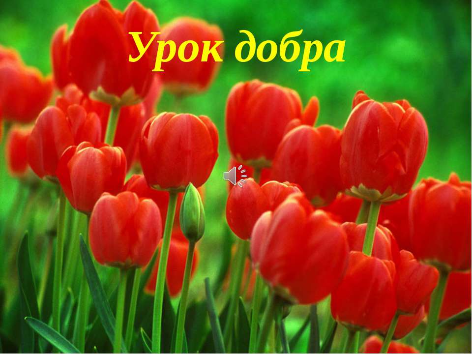 Урок добра