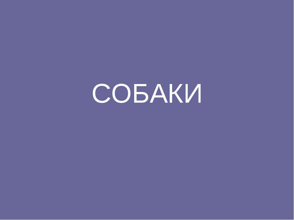 СОБАКИ