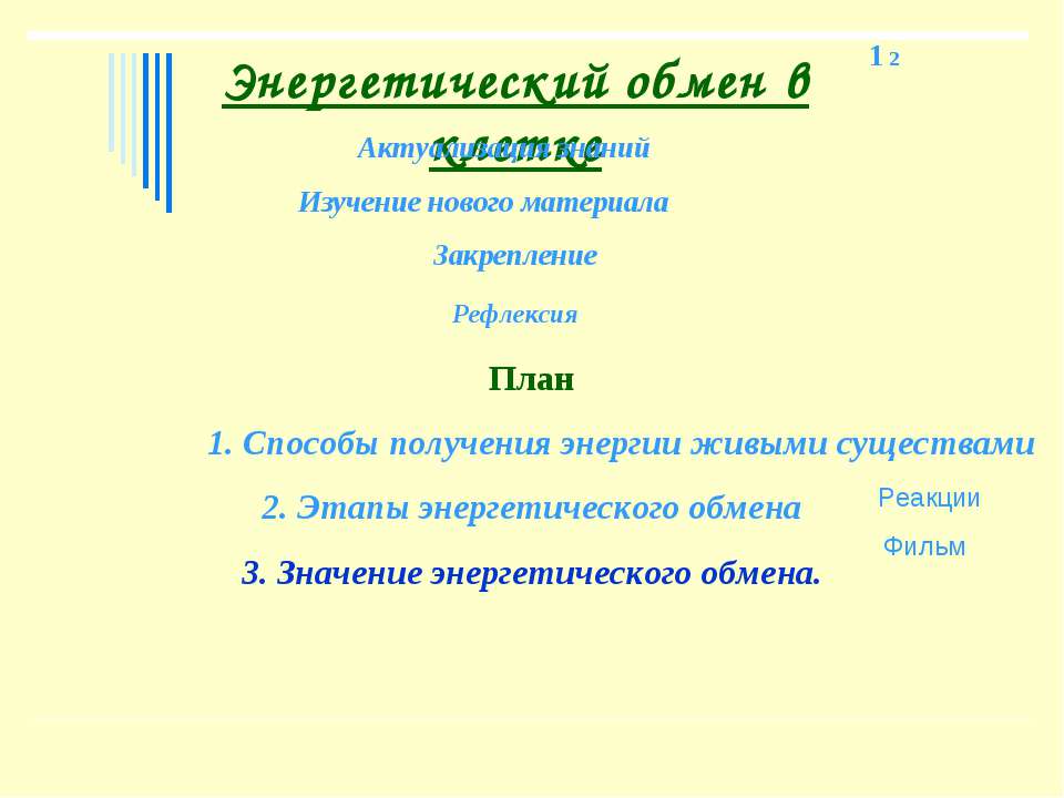 Энергетический обмен в клетке