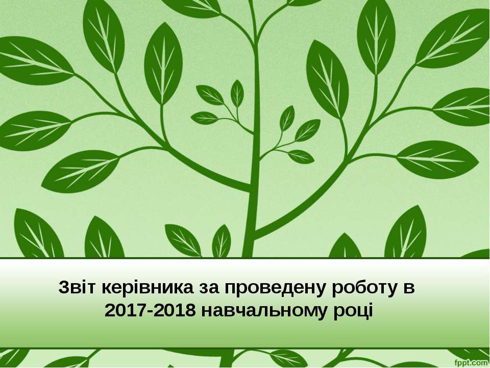 Звіт керівника 2017-2918