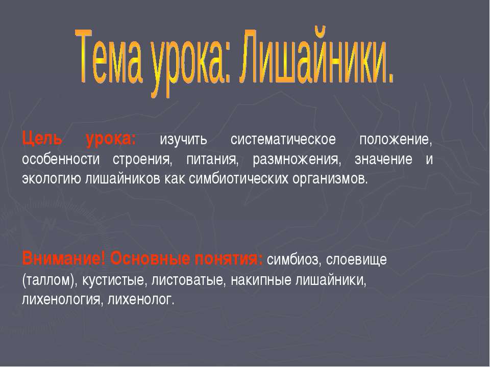 Лишайники