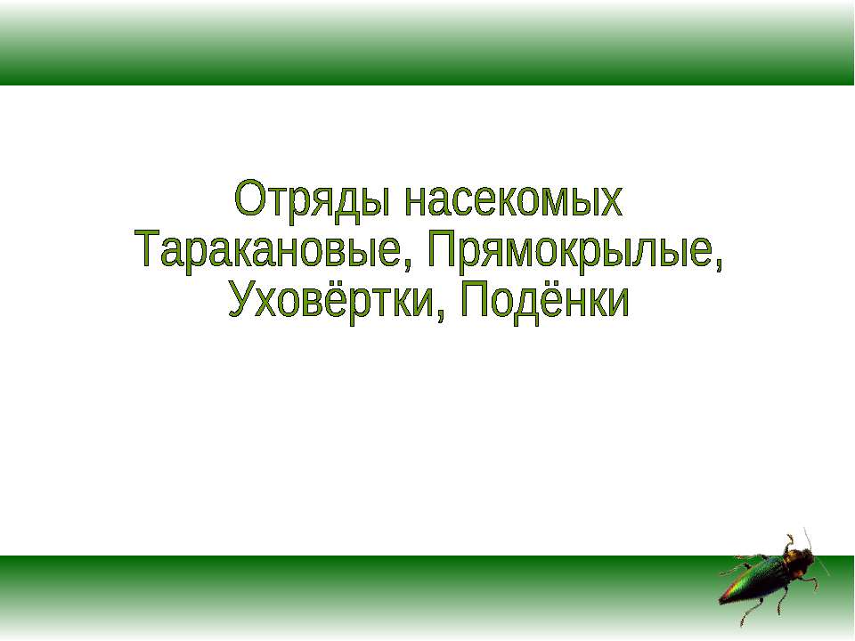 Отряды насекомых Таракановые, Прямокрылые, Уховёртки, Подёнки