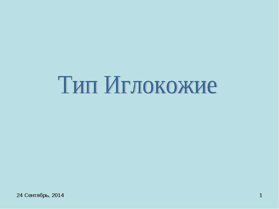 Тип Иглокожие