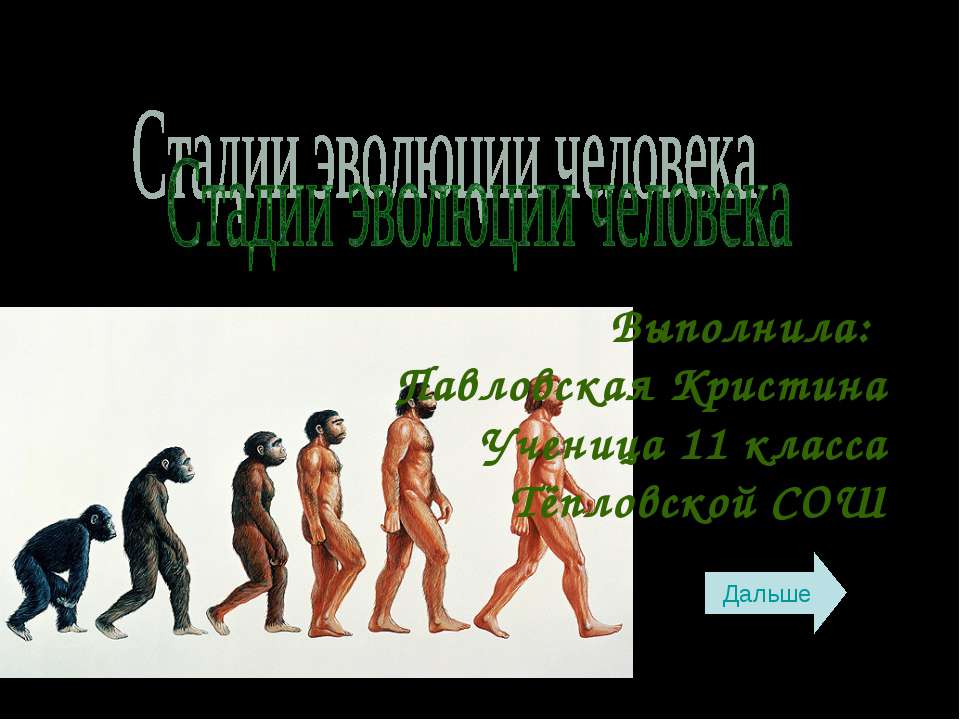 Стадии эволюции человека