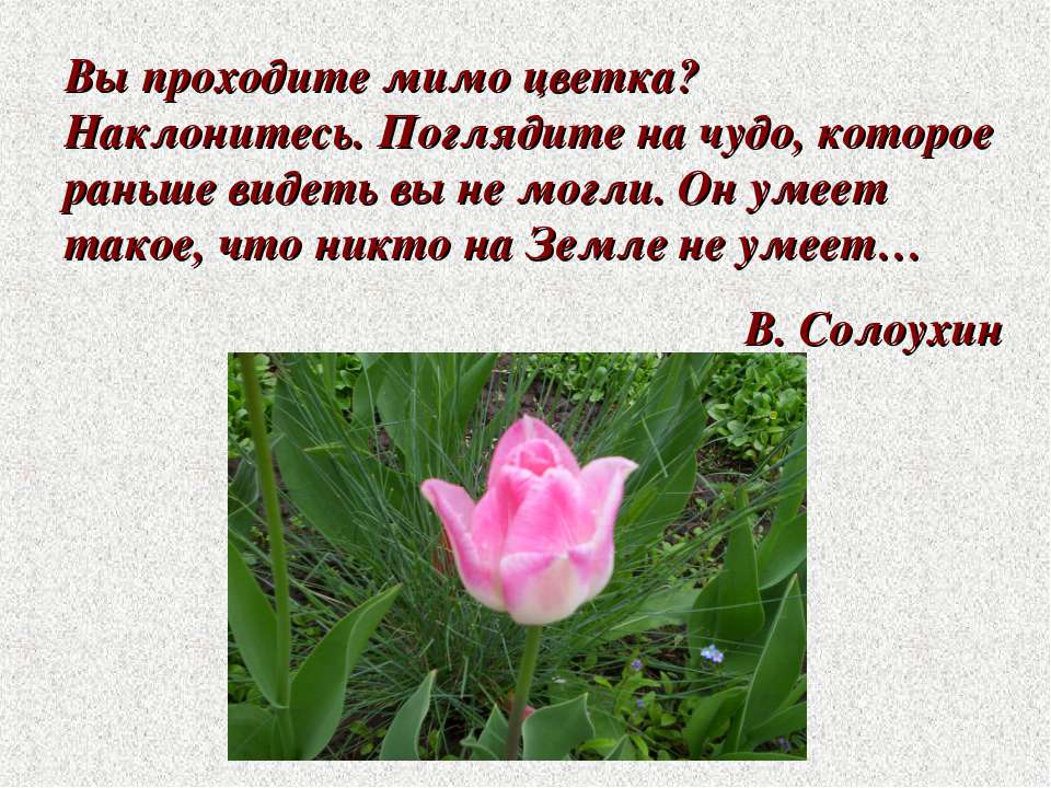 Красота и здоровье