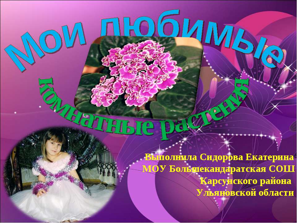Мои любимые комнатные растения