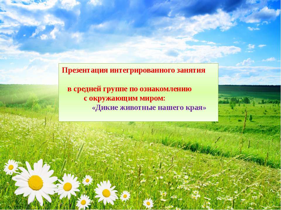 Презентация «Дикие животные нашего края»