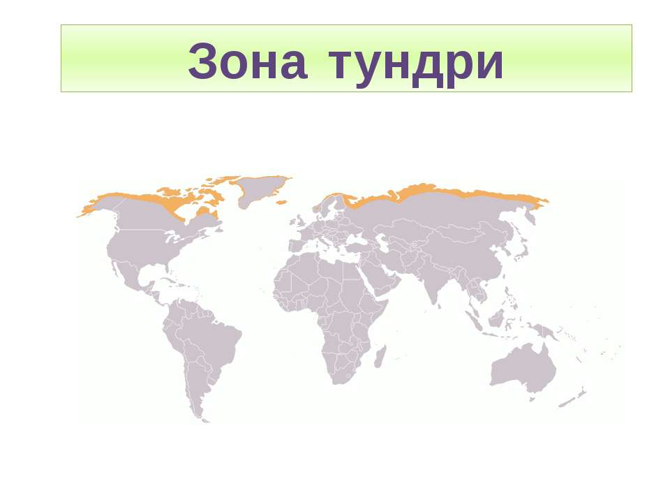 Зона тундри