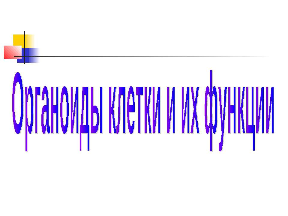 Органоиды клетки и их функции