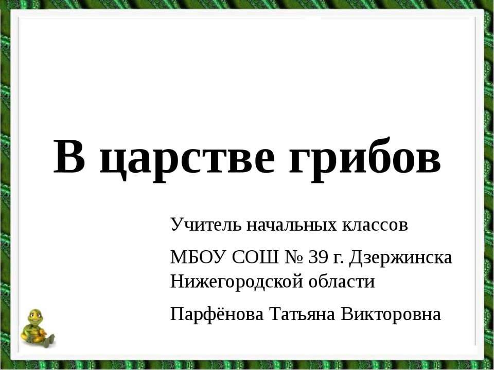 В царстве грибов