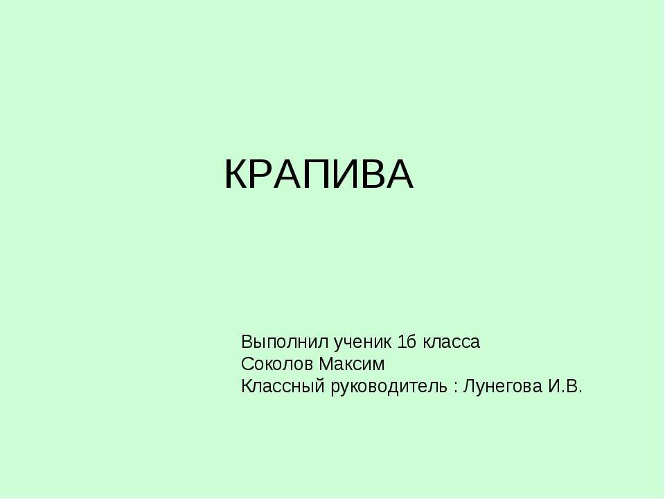 Крапива 1 класс