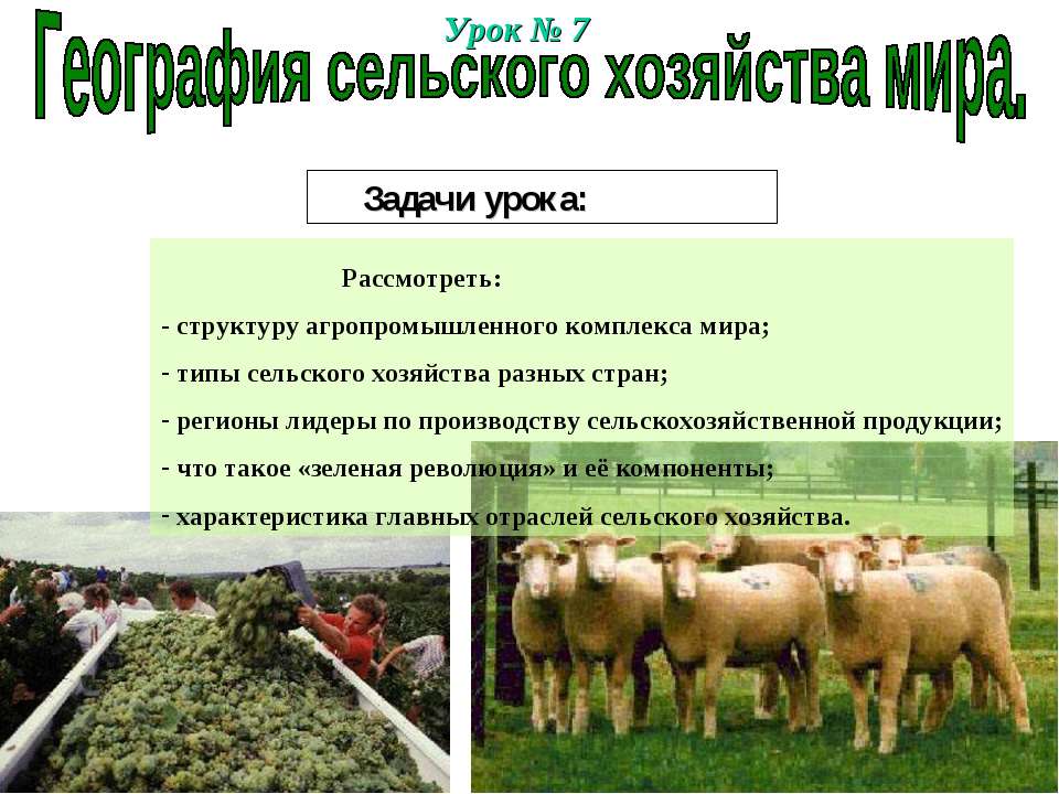 География сельского хозяйства мира